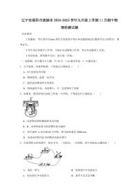 辽宁省朝阳市凌源市2024-2025学年九年级上学期11月期中物理检测试题（含答案）