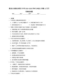 黑龙江省绥化市第八中学2024-2025学年九年级上学期12月月考物理试题