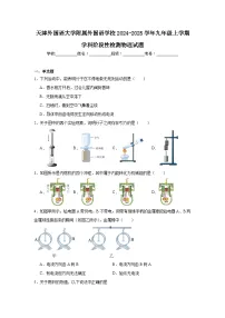 天津外国语大学附属外国语学校2024-2025学年九年级上学期学科阶段性检测物理试题
