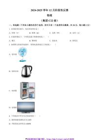 2024~2025学年北京市清华大学附中九年级(上)12月月考物理试卷(含答案)
