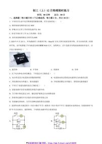 2024～2025学年陕西省西安市陕西师范大学附中九年级(上)12月月考物理试卷(含答案)