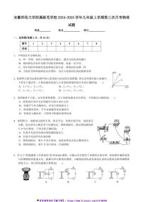 2024～2025学年安徽省合肥市安徽师范大学附属新芜学校九年级(上)第三次月考物理试卷(含答案)