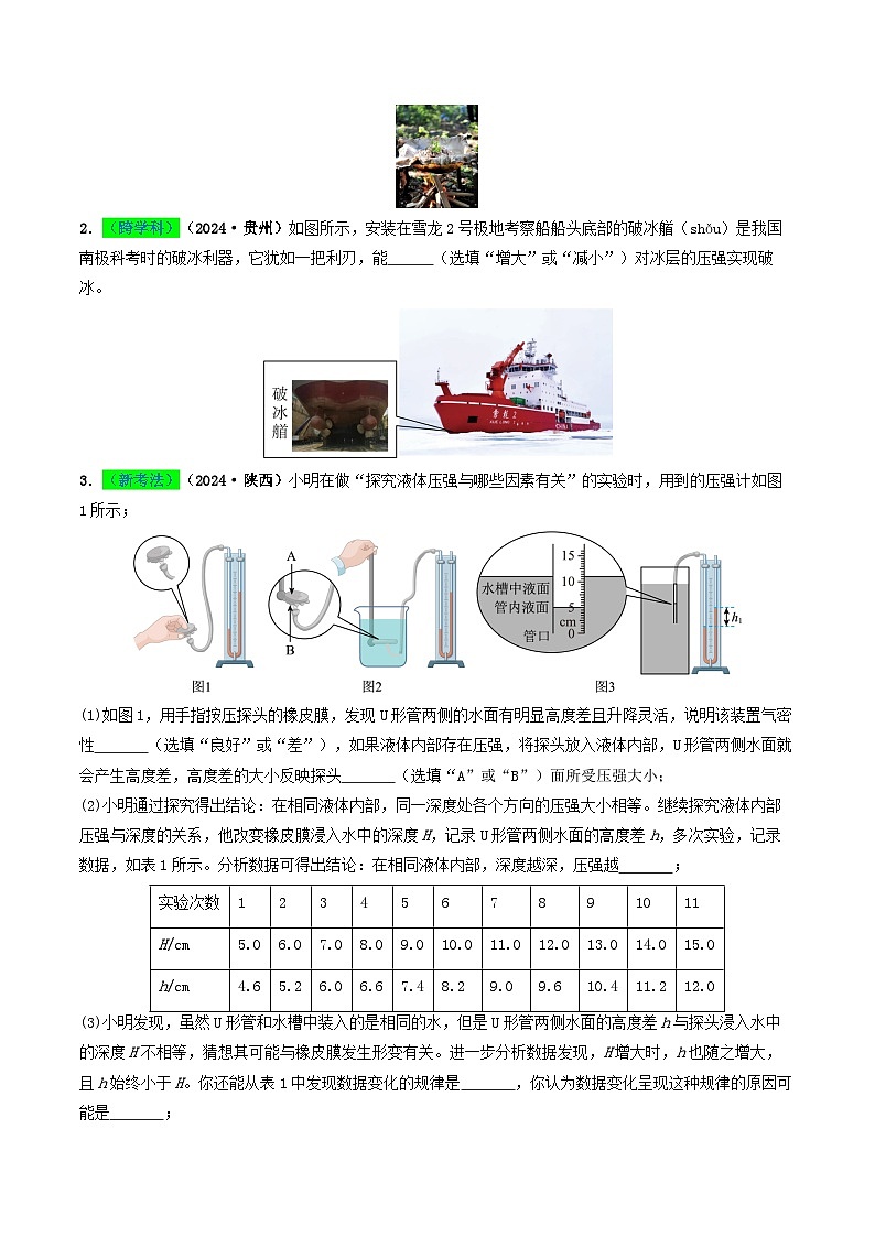 专题09 压强(考情聚焦+中考新考法+真题透视4大考向+新题特训)(原卷版)第2页