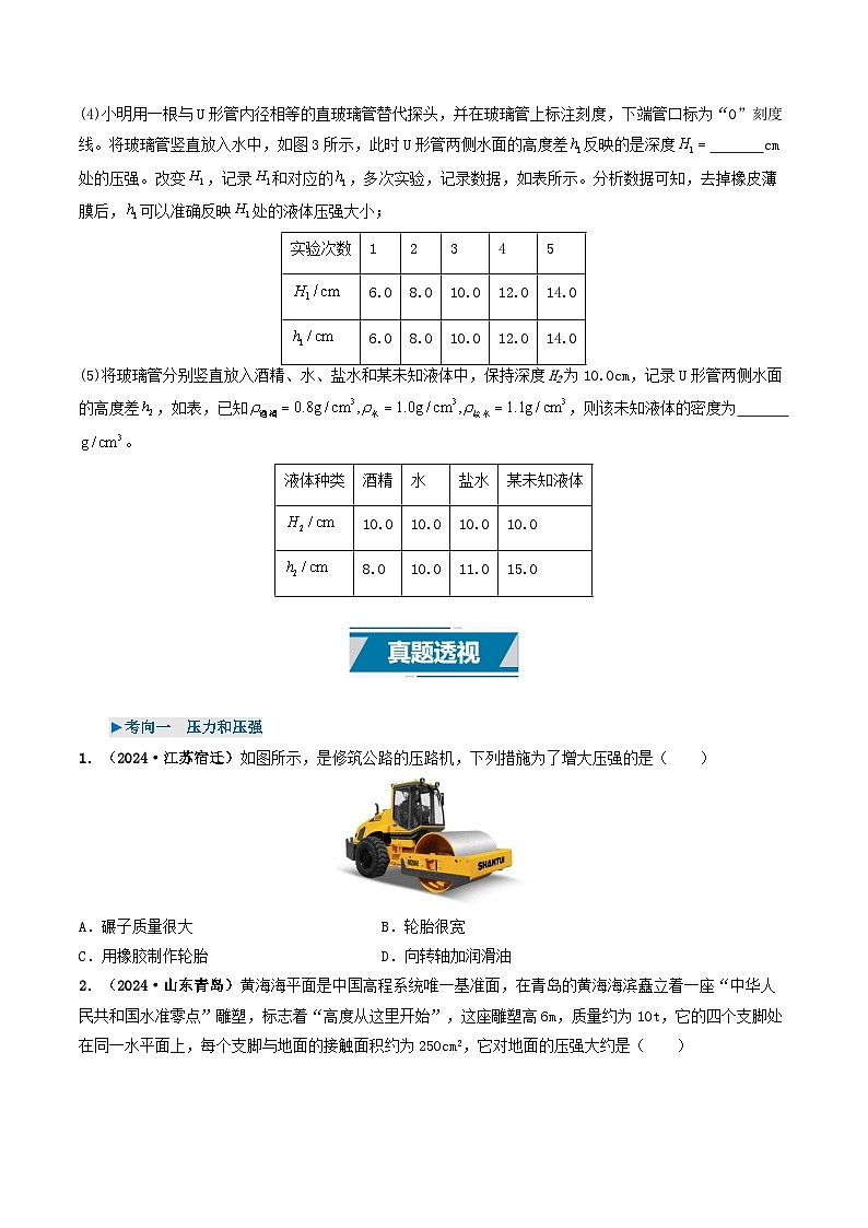专题09 压强(考情聚焦+中考新考法+真题透视4大考向+新题特训)(原卷版)第3页