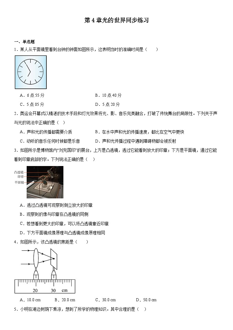 第4章光的世界同步練習(xí)2024-2025學(xué)年教科版八年級(jí)上冊(cè)物理第1頁
