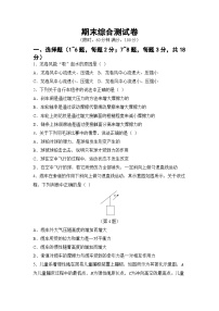 期末综合测试（试卷）-2024-2025学年 教科版（2024）物理八年级下册