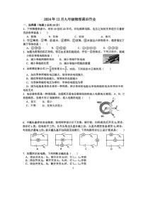 江苏省镇江市江南学校2024-2025学年九年级上学期12月月考物理试卷