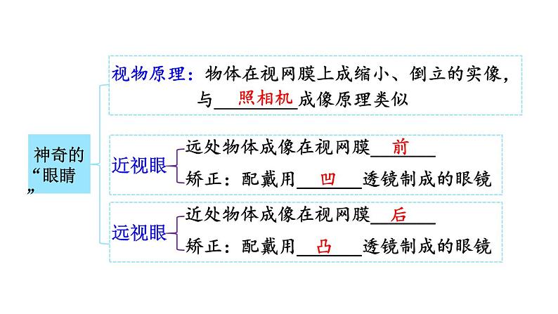 初中物理新沪科版八年级全册第四章 神奇的透镜练习教学课件2024秋第4页