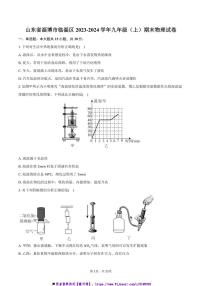 2023～2024学年山东省淄博市临淄区九年级(上)期末物理试卷(含解析)