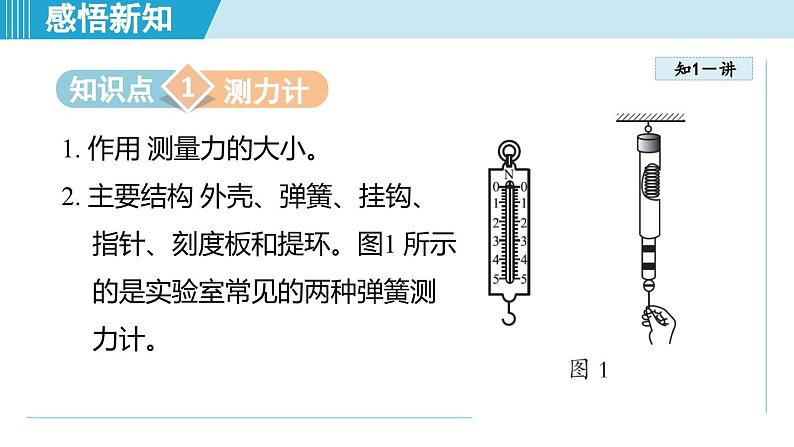 北师大版(2024)八年级物理下册课件 7.2力的测量 弹力第3页