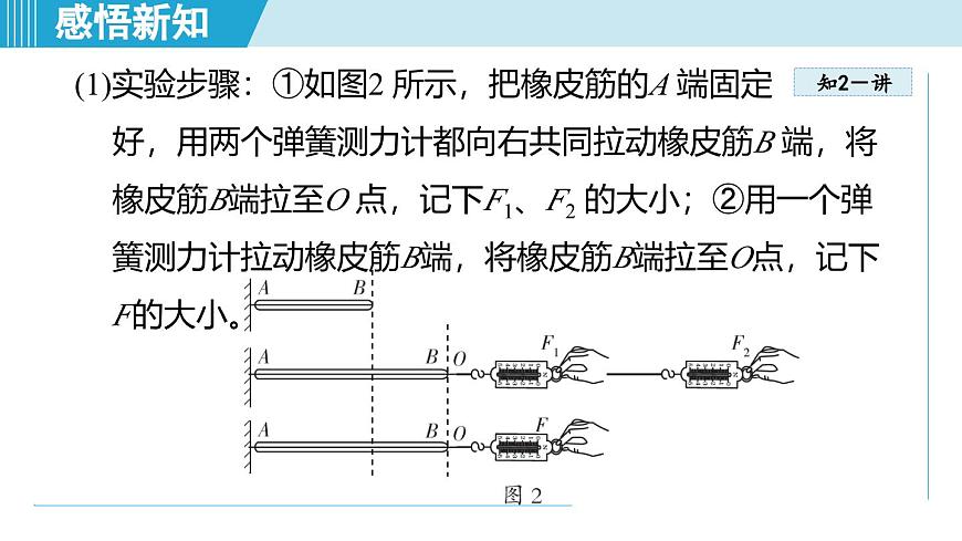 北師大版（2024）八年級(jí)物理下冊課件 7.4同一直線上二力的合成第8頁