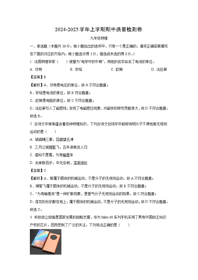 湖南省娄底市涟源市2024-2025学年九年级(上)11月期中物理试卷(解析版)第1页