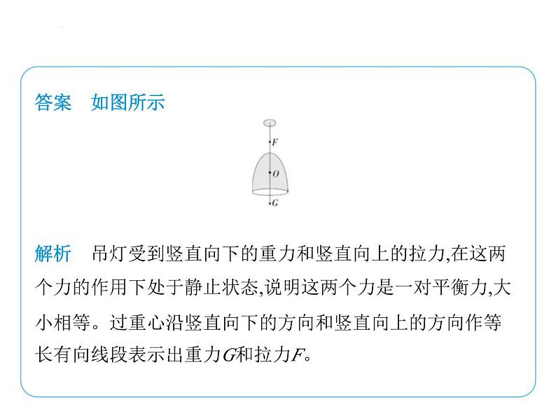 专项素养综合全练(三) 力的示意图(二)课件-- 2024-2025学年苏科版物理八年级下册第3页