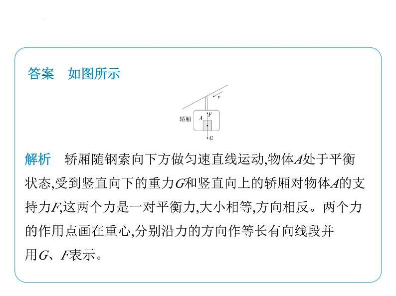 专项素养综合全练(三) 力的示意图(二)课件-- 2024-2025学年苏科版物理八年级下册第8页