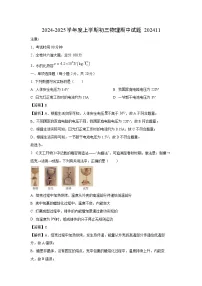 黑龙江省齐齐哈尔市龙沙区2024-2025学年九年级（上）期中物理试卷（解析版）