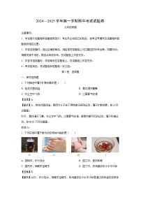 新疆維吾爾自治區(qū)2024-2025學(xué)年九年級(jí)（上）11月期中物理試卷（解析版）
