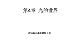 初中物理新教科版八年级上册第四章 光的世界复习题教学课件2024秋