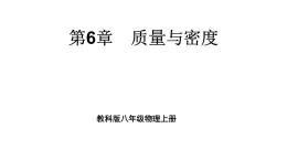 初中物理新教科版八年级上册第六章 质量与密度复习题教学课件2024秋