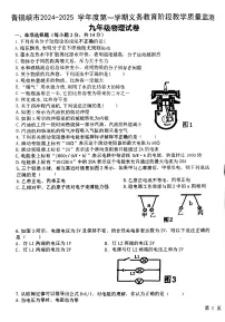 宁夏回族自治区吴忠市青铜峡市2024-2025学年九年级上学期1月期末物理试题
