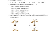 沪科版（2024）八年级全册（2024）第六章 熟悉而陌生的力第三节 来自地球的力课后作业题
