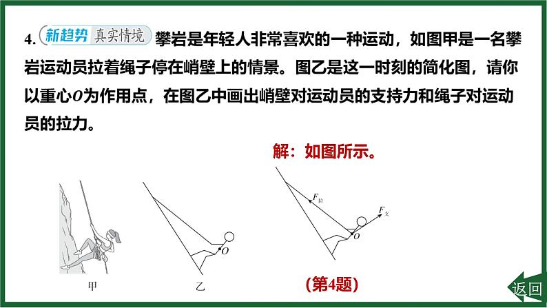 专项突破1 力的示意图课件-(2024版)人教版物理八年级下学期第5页