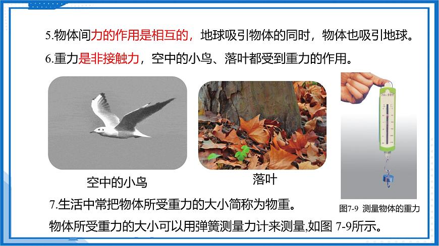 7.2 重力 力的示意圖—初中物理八年級(jí)下冊(cè) 同步教學(xué)課件（蘇科版2024）第7頁