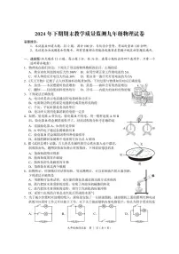湖南省岳阳市2024-2025学年九年级上学期物理期末试卷
