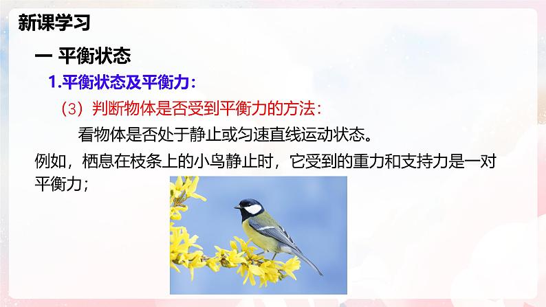 7.3 二力平衡—初中物理八年级全一册 同步教学课件(沪科版2024)第7页
