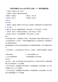 天津市西青区2024-2025学年九年级(上)期末物理试卷