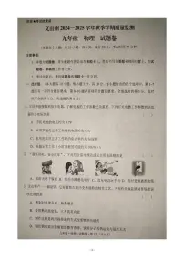 云南省文山壮族苗族自治州2024-2025学年上学期九年级物理期末试题卷