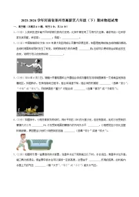 2023-2024学年河南省郑州市高新区八年级（下）期末物理试卷
