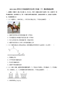 2023-2024学年辽宁省沈阳市大东区八年级（下）期末物理试卷
