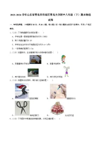 2023-2024学年山东省青岛市市南区青岛大学附中八年级（下）期末物理试卷