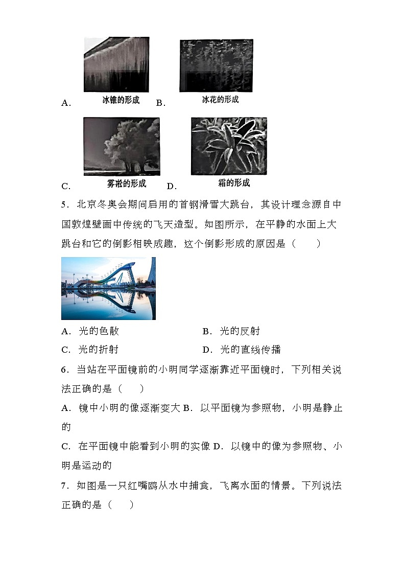 河北省石家庄市新乐中山中学2024-2025学年八年级上学期12月月考 物理试题(含解析)第2页