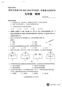 贵州省贵阳市2024-2025学年九年级上学期1月期末物理试题