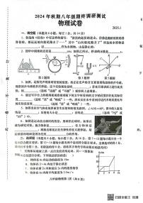 河南省南阳市镇平县2024-2025学年八年级上学期1月期末物理试题