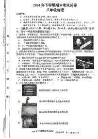 湖南省邵阳市武冈市2024-2025学年八年级上学期期末物理试题