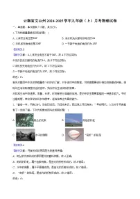 云南省文山州2024-2025学年九年级（上）月考物理试卷（含解析）
