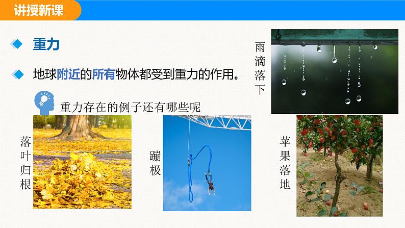 人教版(2024)八年级物理下册课件 第七章 第三节 重力第5页