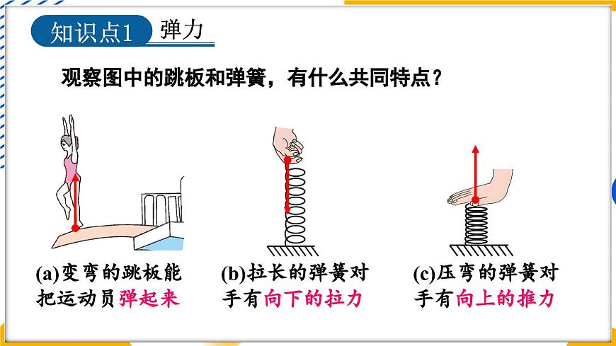 3 彈力 彈簧測力計第5頁