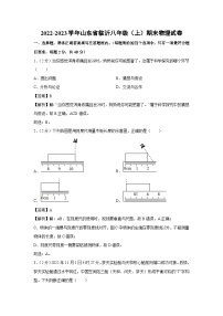 2022-2023学年山东省临沂八年级上学期期末物理试卷