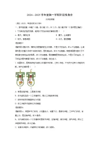 2024-2025学年广东省江门市鹤山市九年级上学期期中考试物理试卷（解析版）