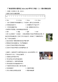 广东省深圳市福田区2024-2025学年八年级（上）期末物理试卷