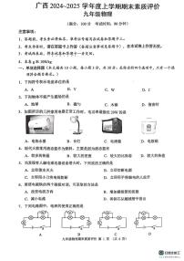 广西壮族自治区贺州市昭平县2024-2025学年九年级上学期1月期末物理试题