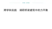 初中沪科版(2024)实践 调研桥梁建筑中的力平衡教课内容ppt课件