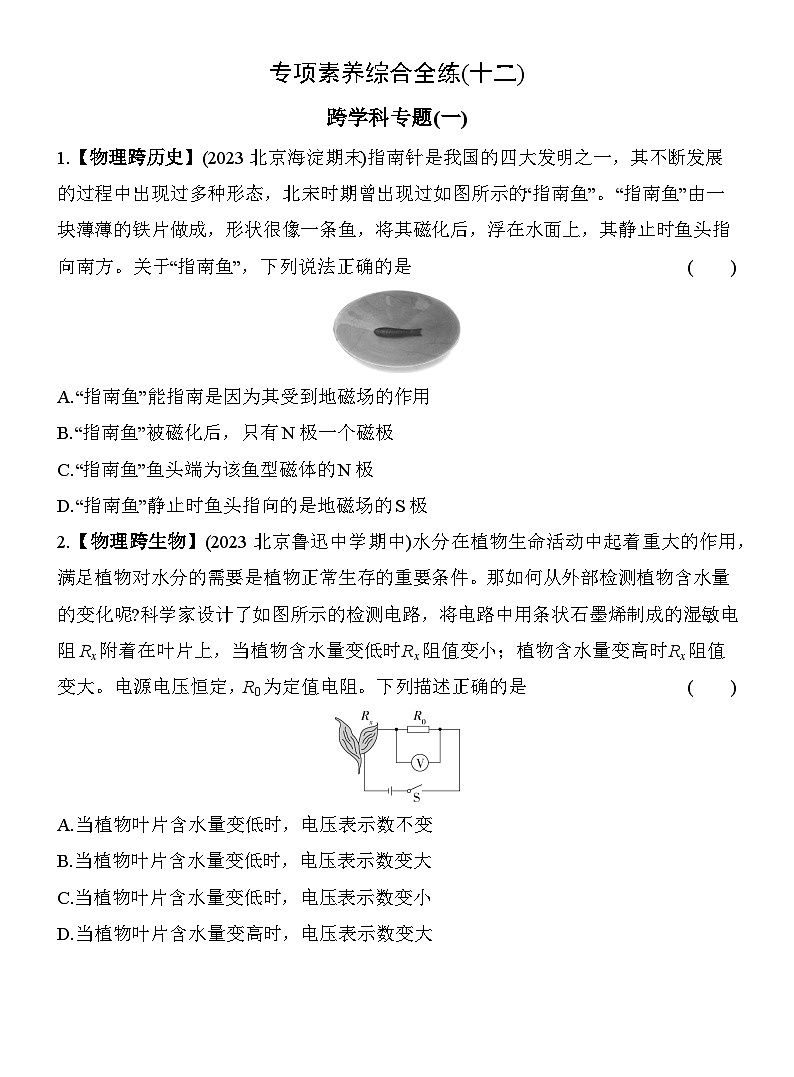 (北京课改版)九年级物理12-专项素养综合全练(十二)12第1页