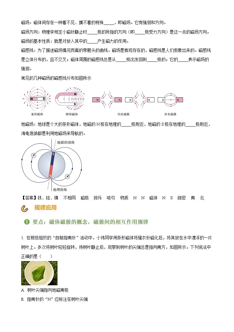 2024-2025學(xué)年九年級(jí)(全一冊(cè))物理同步單元講練測第二十章電與磁-講核心(原卷版+解析)第3頁