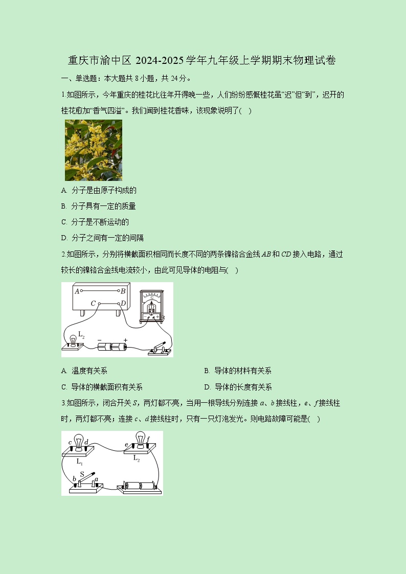 重庆市渝中区2024-2025学年九年级上学期期末物理试卷（解析版）