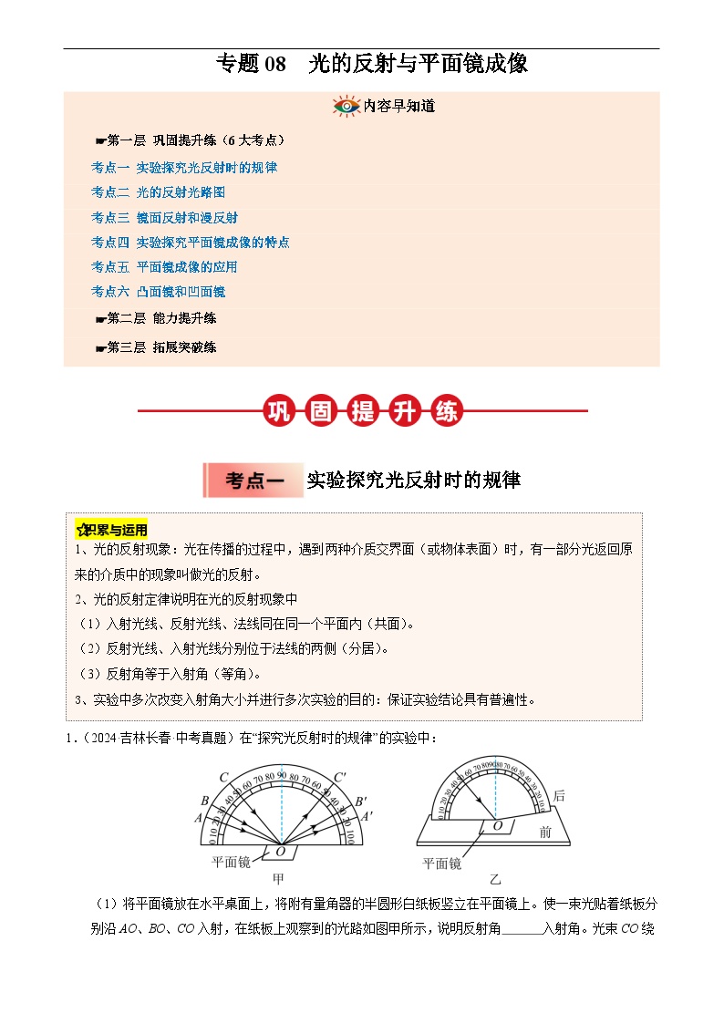 2025年人教版八年级物理寒假专题08光的反射与平面镜成像练习