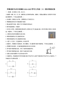 河南省驻马店市汝南县2024-2025学年九年级（上）期末物理试卷（含解析）